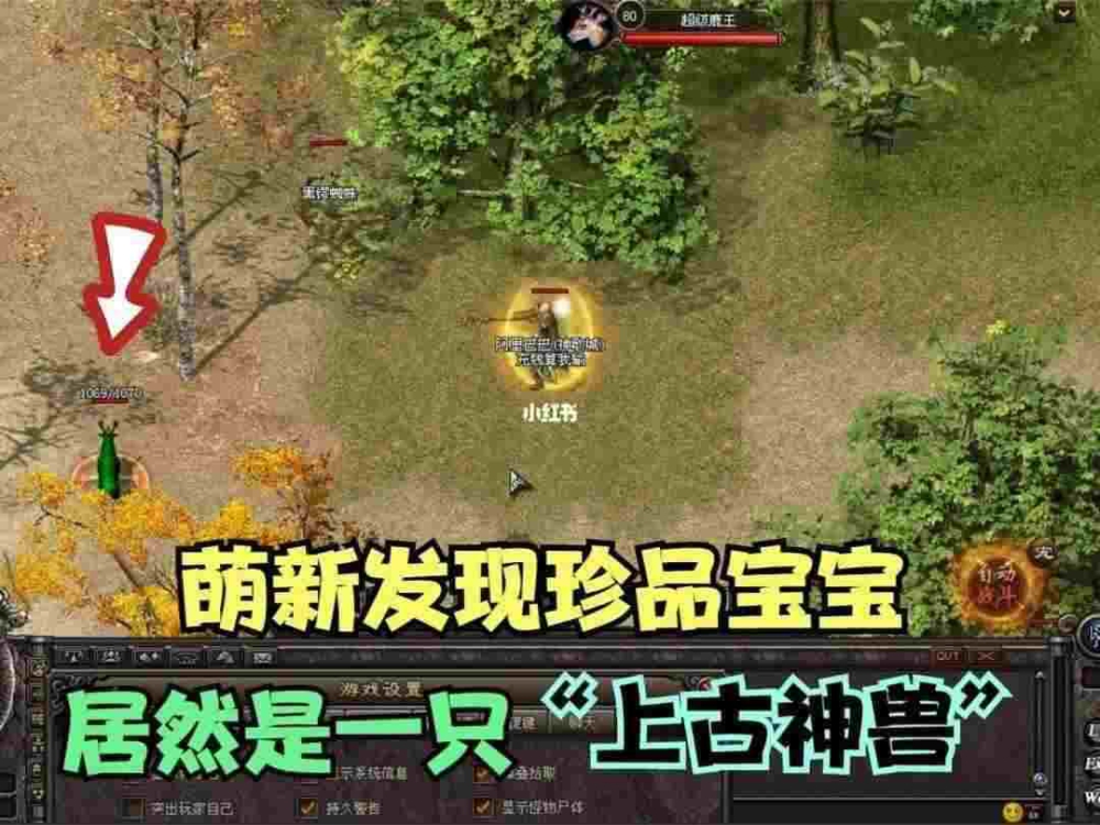 传奇3d手游今天开新区吗,传奇3D手游今天开新区吗？